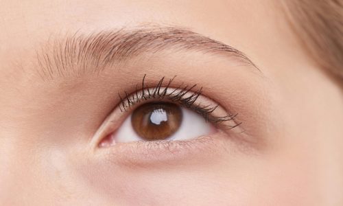 Detailed close-up of a woman's natural brown eye, showcasing eyelashes and eyebrow.