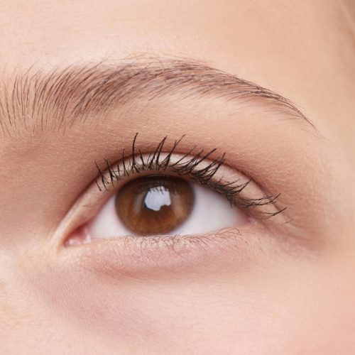 Detailed close-up of a woman's natural brown eye, showcasing eyelashes and eyebrow.